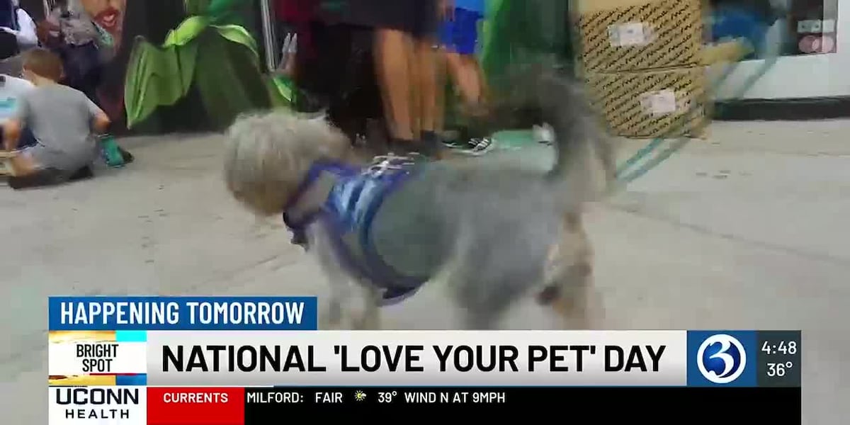 BRIGHT SPOT: National Love Your Pet Day [Video]