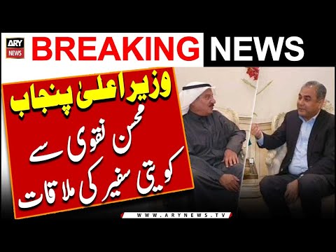 Caretaker CM Punjab se Kuwait ke safeer ki mulaqat [Video]