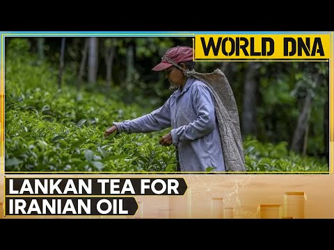 Cash-strapped Sri Lanka partially repays Iranian oil debt with $20 million worth of tea | World DNA [Video]