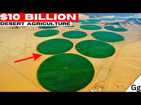 Largest desert agriculture megaproject!!! [Video]