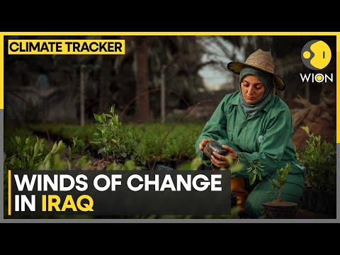 Iraqi woman’s ingenious solution for waste management | WION Climate Tracker [Video]