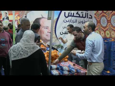 BVTV: IMF’s Egypt bailout | REUTERS [Video]