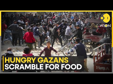 Israel war: Fund carrying aid to leave Cyprus for Gaza | World News | WION [Video]