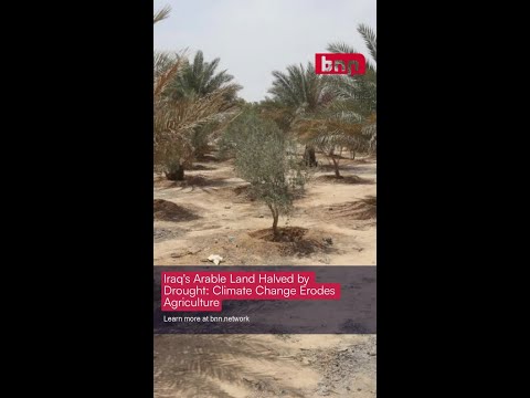 Iraq’s Arable Land Halved by Drought: Climate Change Erodes Agriculture [Video]