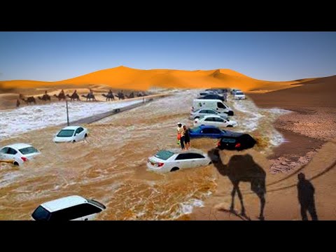 The tragedy of the Arab Spring. Flood in Oman [Video]