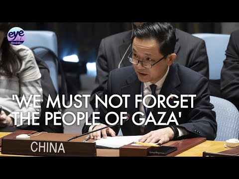China cites Palestine-Israel conflict, Russia fires shots at US as UN urges Sudan truce [Video]
