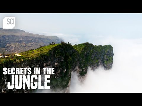 Salalah’s Pop-Up Jungle | Secrets in the Jungle | Science Channel [Video]