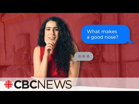 Good Nose: What’s behind Iran’s love affair with nose jobs? | Creator Network [Video]