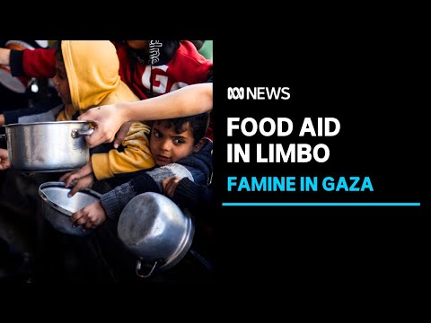 The World Central Kitchen returns tonnes of food aid and suspends its operations in Gaza | ABC News [Video]