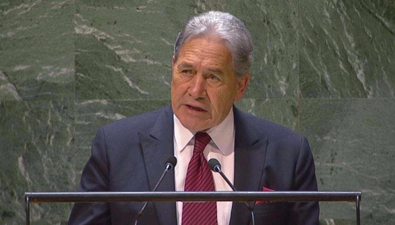Winston Peters’ Israel-Gaza comments welcomed, but analyst says could have gone further on veto [Video]