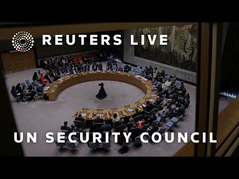 LIVE: UN Security Council meets on situation in Middle East [Video]