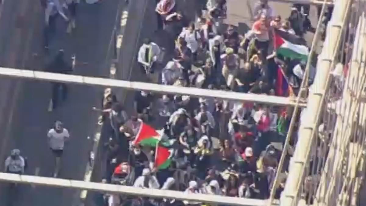Palestine activists block Brooklyn Bridge, Golden Gate and roads to Chicago O’Hare airport in coordinated attempt to bring America to its knees [Video]