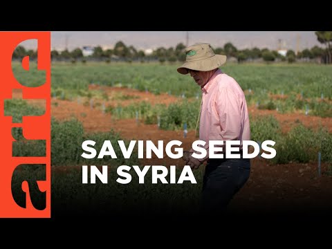 Seeds of War | ARTE.tv Documentary [Video]