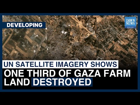 One Third Of Gaza Farm Land Destroyed, UN Satellite Imagery Shows | Dawn News English [Video]