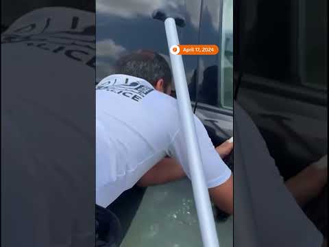 Police rescue cat clinging to car door in Dubai flooding [Video]