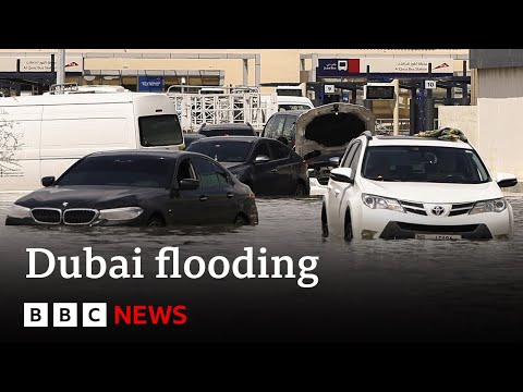 Dubai airport flooded as UAE and Oman reel from deadly storms | BBC News [Video]