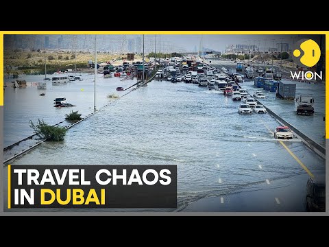 Dubai floods: Clean-up begins in Dubai | Latest News | WION [Video]