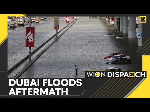 Dubai floods: UAE struggles to clean up post floods | WION Dispatch [Video]