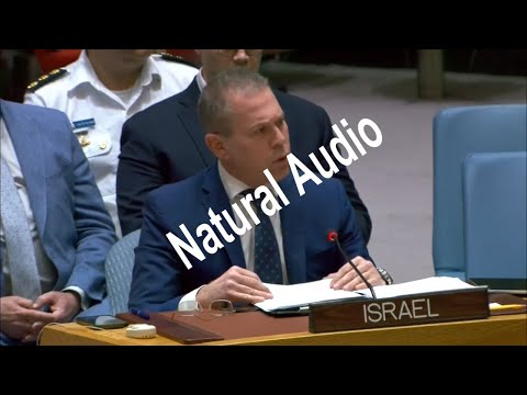 UN Security Council meeting convened on ‘situation in the Middle East’ [Video]