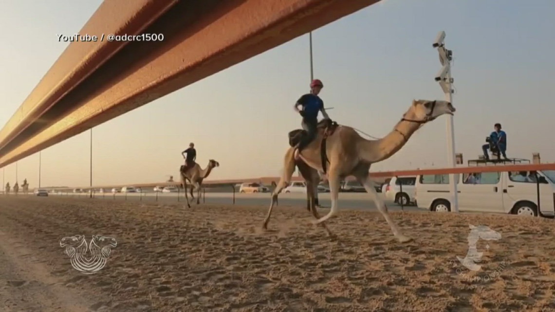 Kentucky camel jockey becomes first American to win race in Dubai [Video]