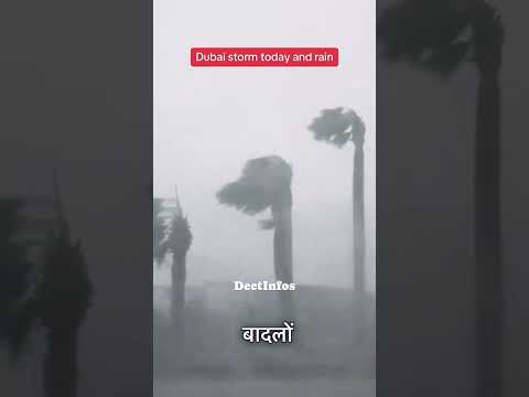 Habibi is a Rain In Dubai 🌧️ ☔ | [Video]