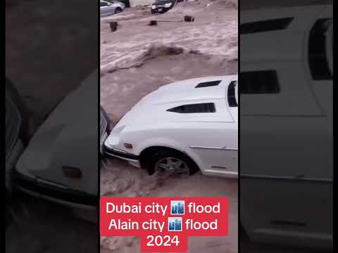 Dubai City flood ☔🌧️🌧️ | [Video]