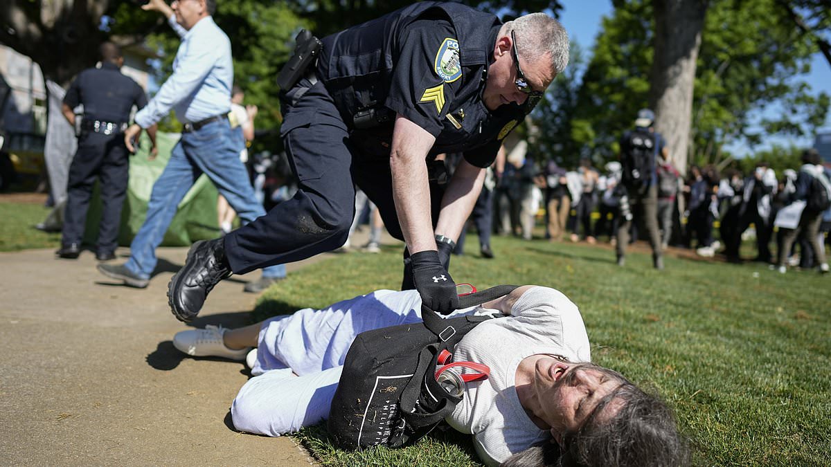 Emory economics lecturer screams ‘I’m a professor’ as Georgia cops shove her face on concrete at anti-Israel camp – as abhorrent Nazi banner calling for FINAL SOLUTION is raised at GWU [Video]