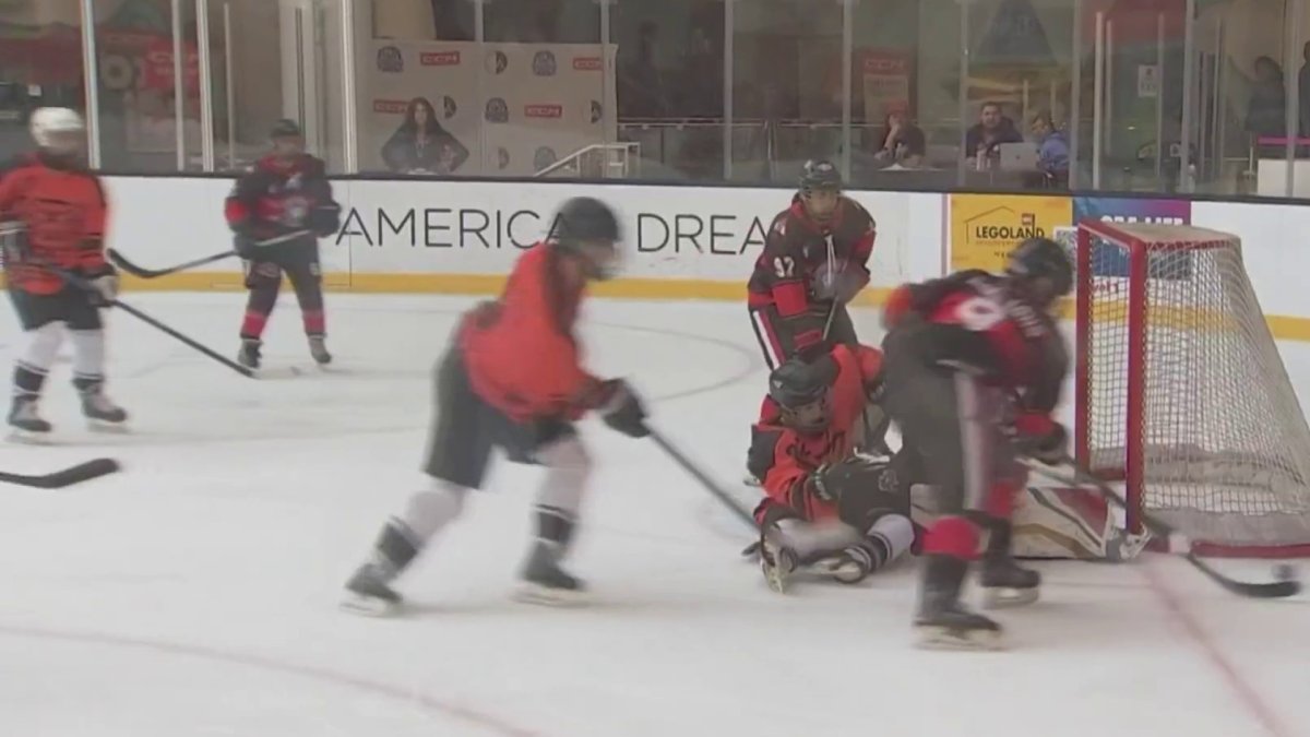 Dream Nations Cup in NJ part of push to expand hockey to Africa and the Middle East  NBC10 Philadelphia [Video]
