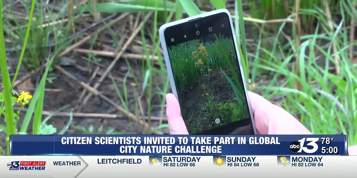 Community scientists invited to participate in worldwide City Nature Challenge [Video]