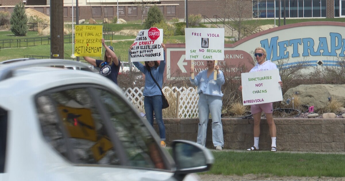 Protesters rally against circus in Billings [Video]