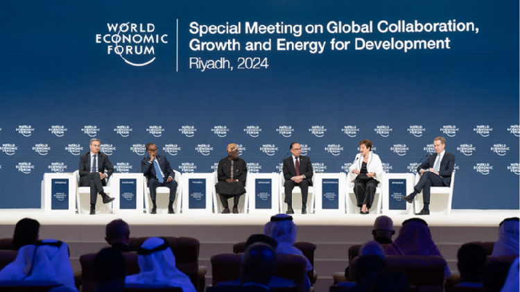 WEF special meeting eyes collaboration on sustainable development [Video]