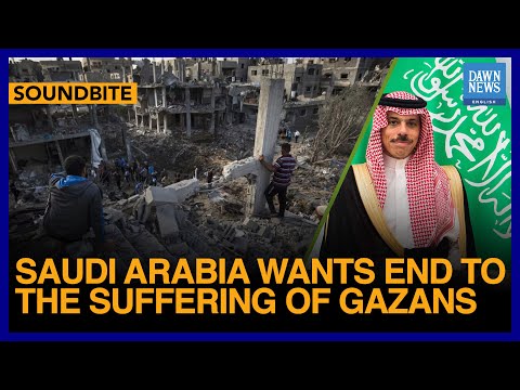WEF 2024: Saudi Arabia Wants End To The Suffering Of Gazans | Dawn News English [Video]