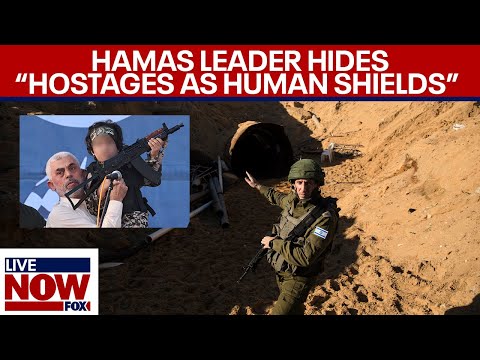 Israeli soldiers hunt for Hamas leader, ‘using hostages as shields’ | LiveNOW from FOX [Video]