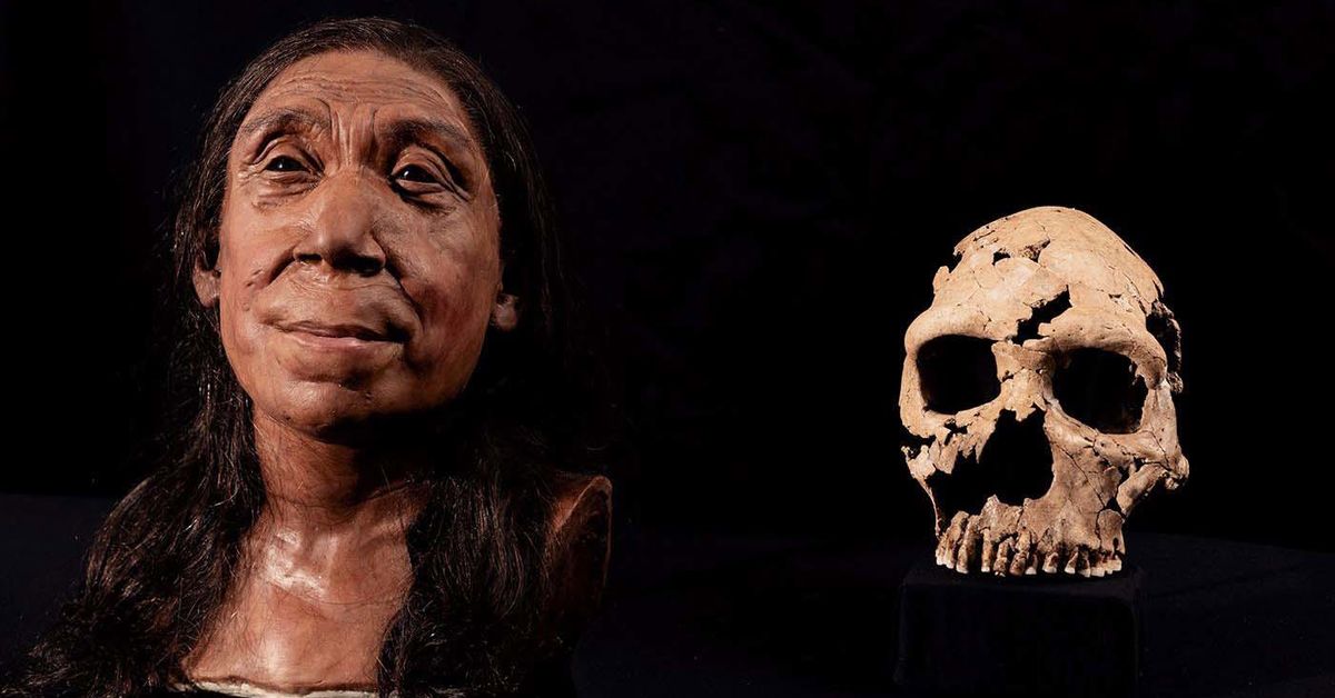 Science news Scientists reveal face of Neanderthal Shanidar Z, who lived 75,000 years ago [Video]