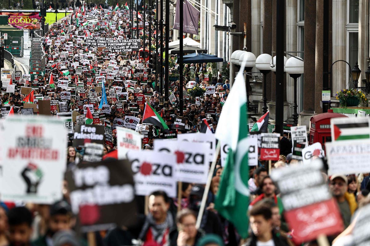 Labour campaign chief admits Gaza war a factor that cost party seats [Video]