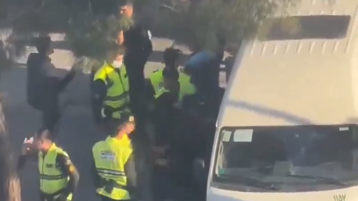 Iran’s hardliners employ female ‘hijab enforcers’ to spy on bare-headed women and bundle them into vans for interrogation in new crackdown [Video]