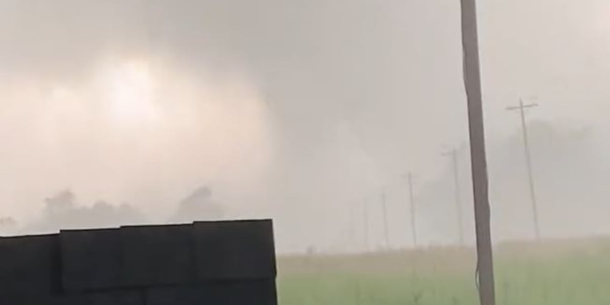Two tornadoes touched down in Middle Tennessee [Video]