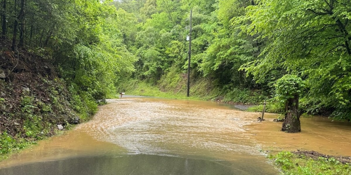 East Tennessee storms shut down 11 roads in Sevier County [Video]