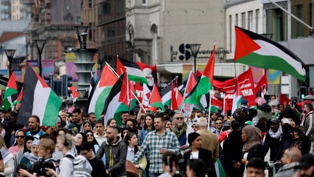 Pro-Palestinian demonstrators protest Israel