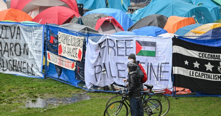 McGill heads to court for injunction to remove pro-Palestinian encampment [Video]