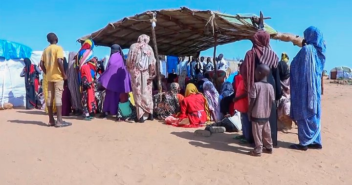 76M people were displaced within their countries in 2023, report finds – National [Video]