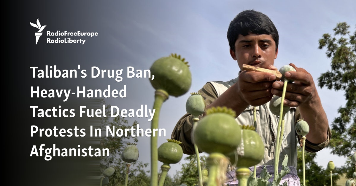 Taliban’s Drug Ban, Heavy-Handed Tactics Fuel Deadly Protests In Northern Afghanistan [Video]