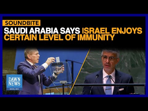 UNGA Session: Saudi Arabia Says Israel Enjoys Certain Level Of Immunity | Dawn News English [Video]
