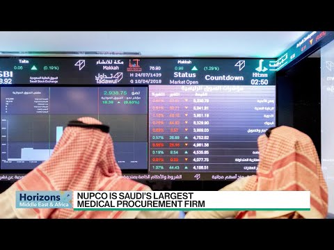 Biggest Saudi IPO of the Year Draws $91 Billion in Orders [Video]