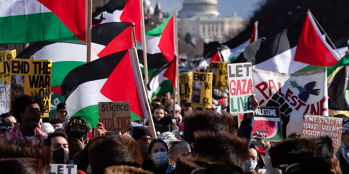Thousands are expected to rally on Washingtons National Mall in support of Palestinian rights [Video]