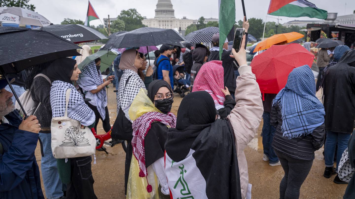 Hundreds of pro-Palestinian protesters rally in the rain in DC to mark a painful present and past  WPXI [Video]