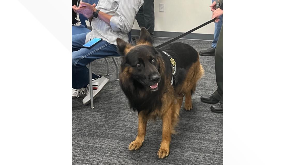 Multnomah County Sheriff’s Office adds first-ever comfort dog [Video]
