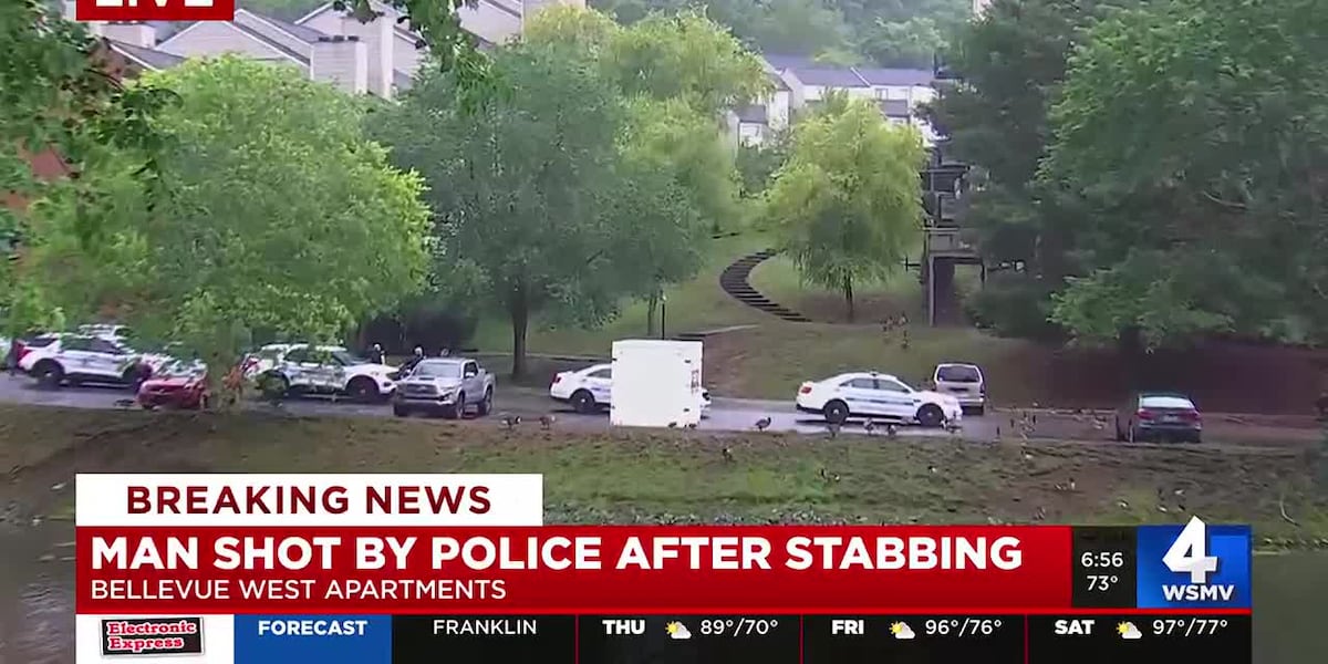 Officers shoot, kill stabbing suspect in Bellevue [Video]