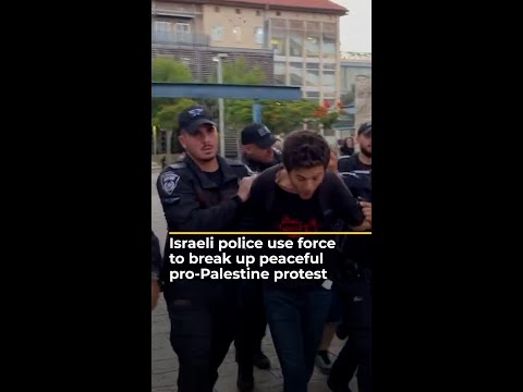 Israeli police crack down on pro-Palestine demonstrators | AJ [Video]