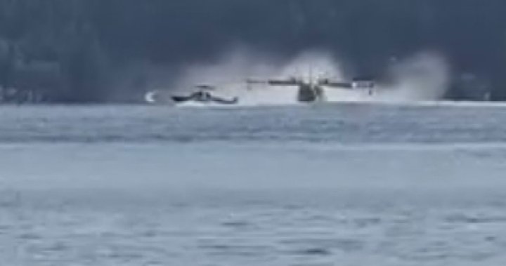 Witness films close call between boat and water bomber on Shawnigan Lake [Video]
